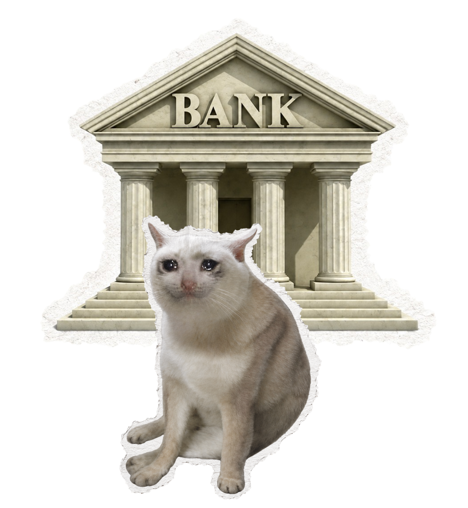 Bank Cat